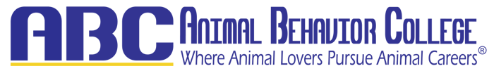 abc-long-logo-GENERIC-t abc-long-logo-GENERIC-t