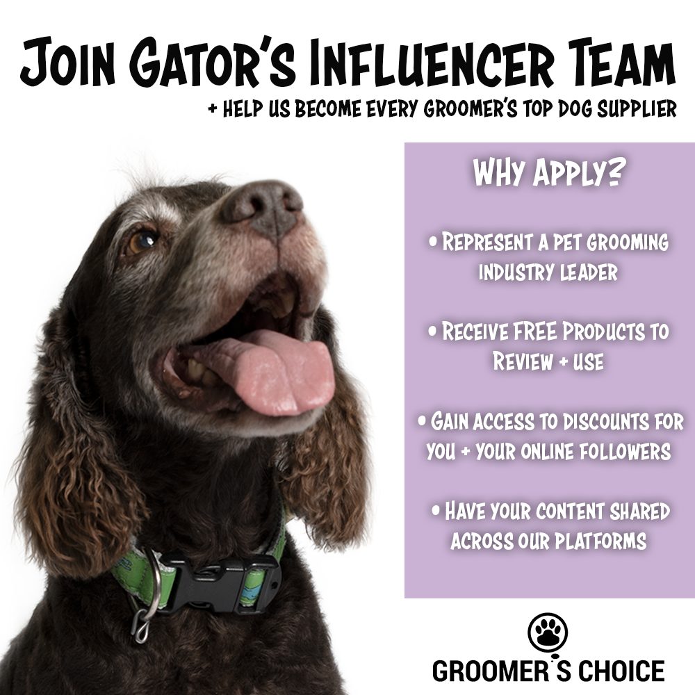 Influencer Landing Page Gator V2
