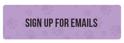 email button