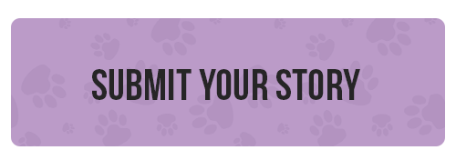 submit story