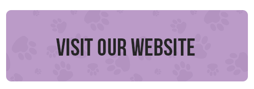visit our website